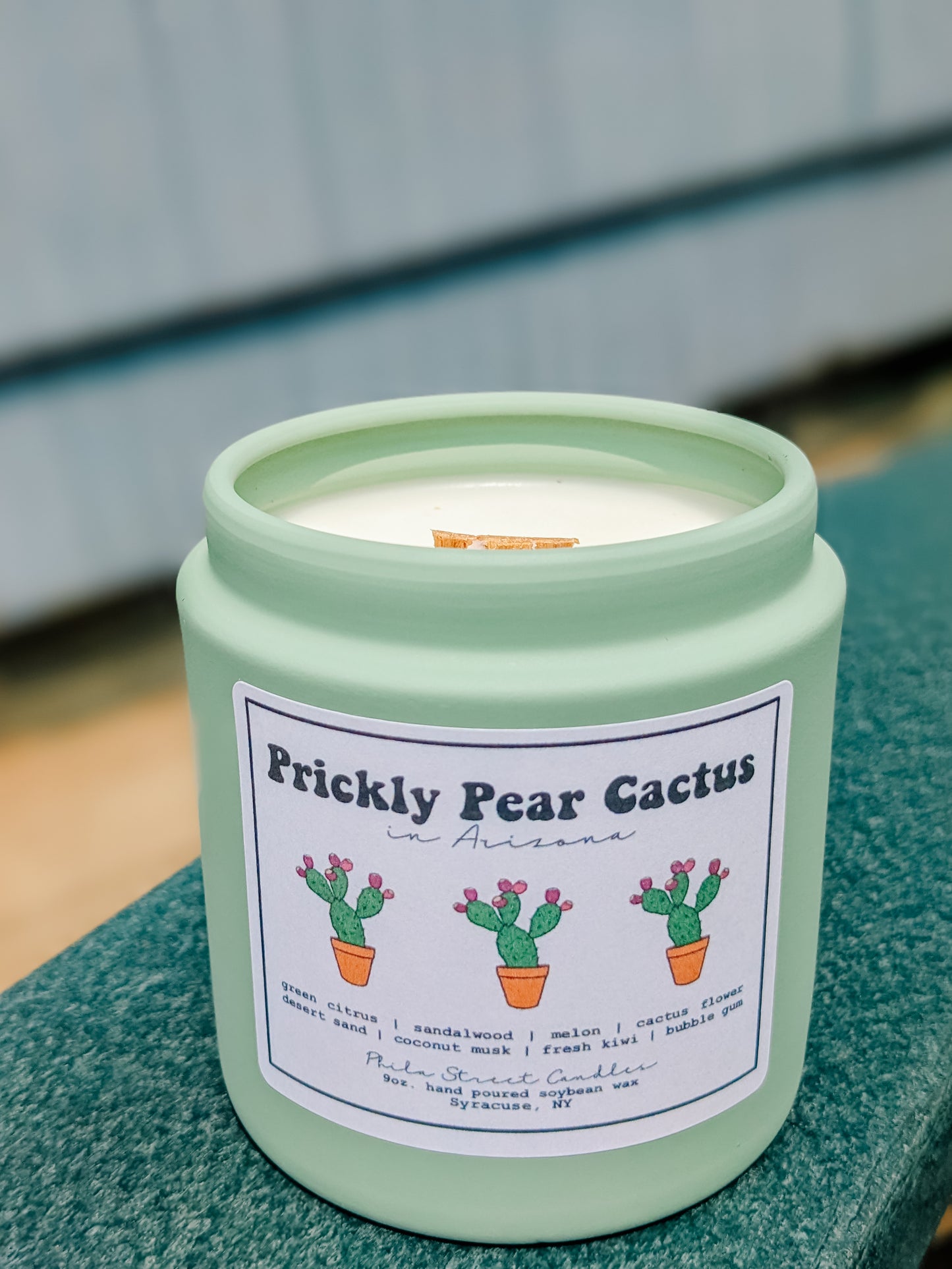 Prickly Pear Cactus (in Arizona)