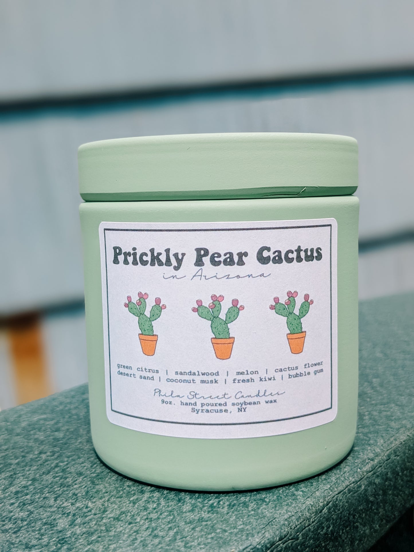 Prickly Pear Cactus (in Arizona)